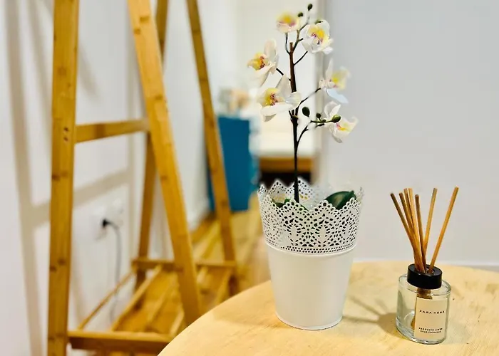Amalia Tiny Studio 1